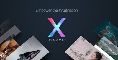 DynamiX